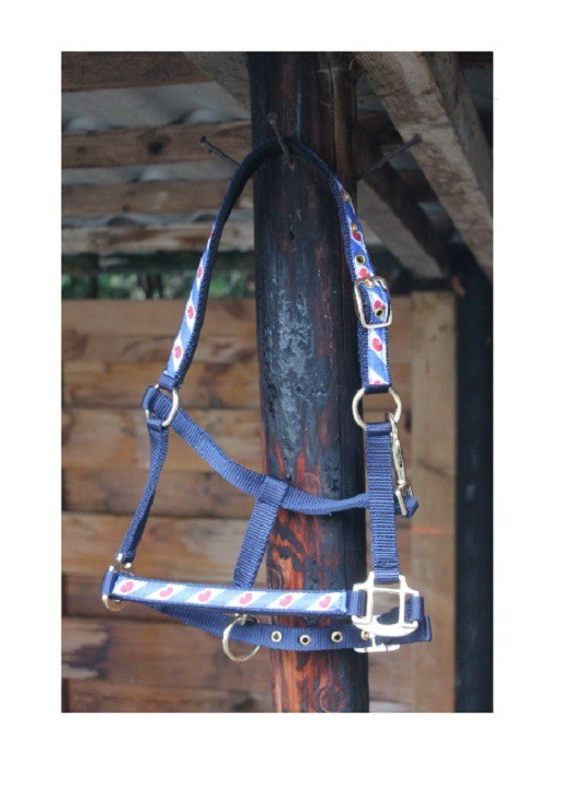 Veulenhalster blauw fries