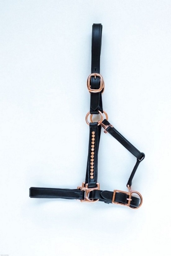 Veulenhalster leer rosegold 1