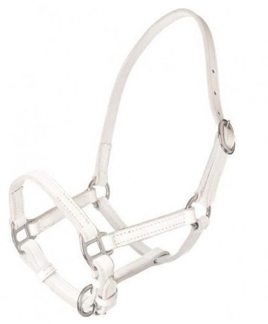 Veulenhalster leer wit