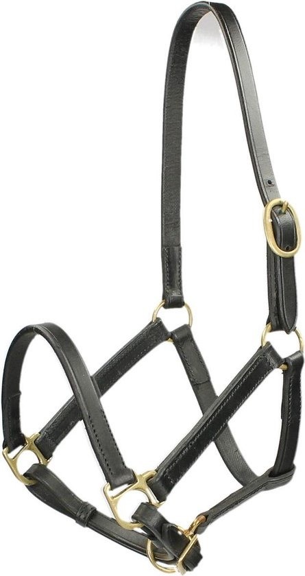 Veulenhalster leer zwart