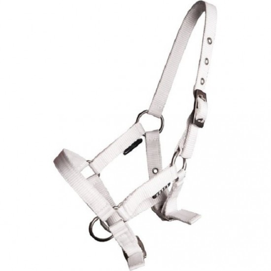 Veulenhalster wit 3x verstelbaar
