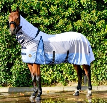 Vliegendek hb color 1