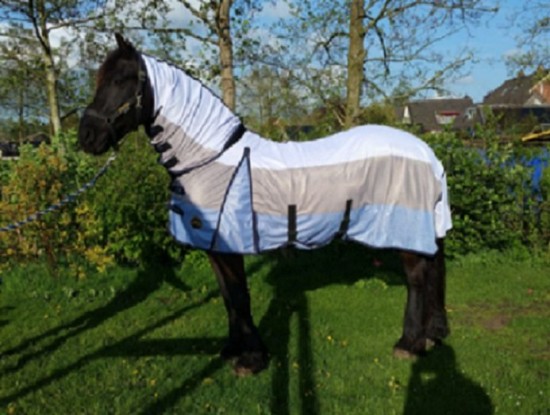 Vliegendek hb color 2