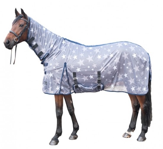 Vliegendeken hkm ster