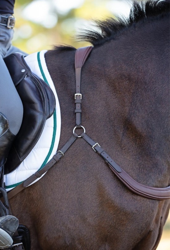 Voortuig free motion 1