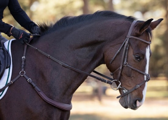 Voortuig free motion 2