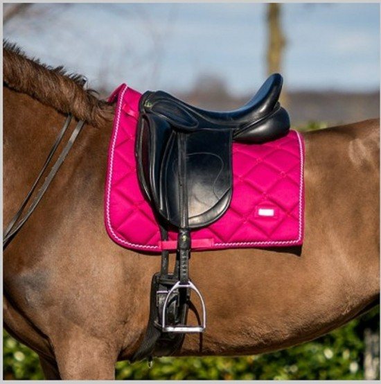 Zadeldek crown raspberry 1