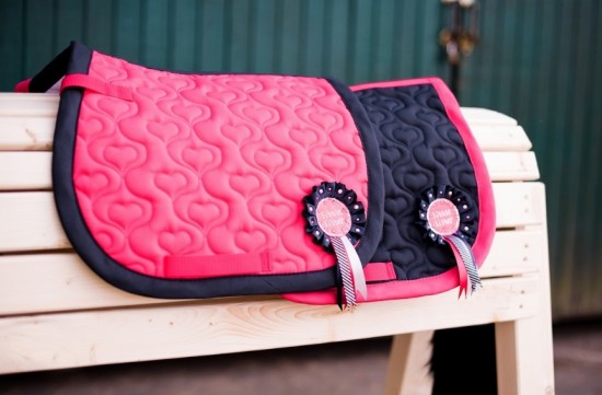 Zadeldekje champ shet