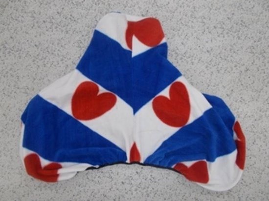 Zadelhoes friese vlag