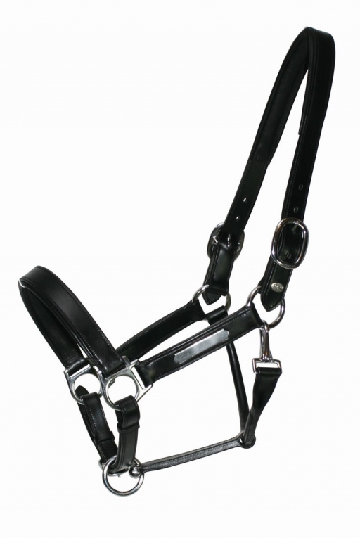 tafereel Daarom Zorg LUXE leren halster Inscribe - Full - Onlinehorseoutlet