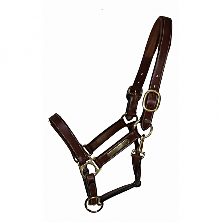 tafereel Daarom Zorg LUXE leren halster Inscribe - Full - Onlinehorseoutlet